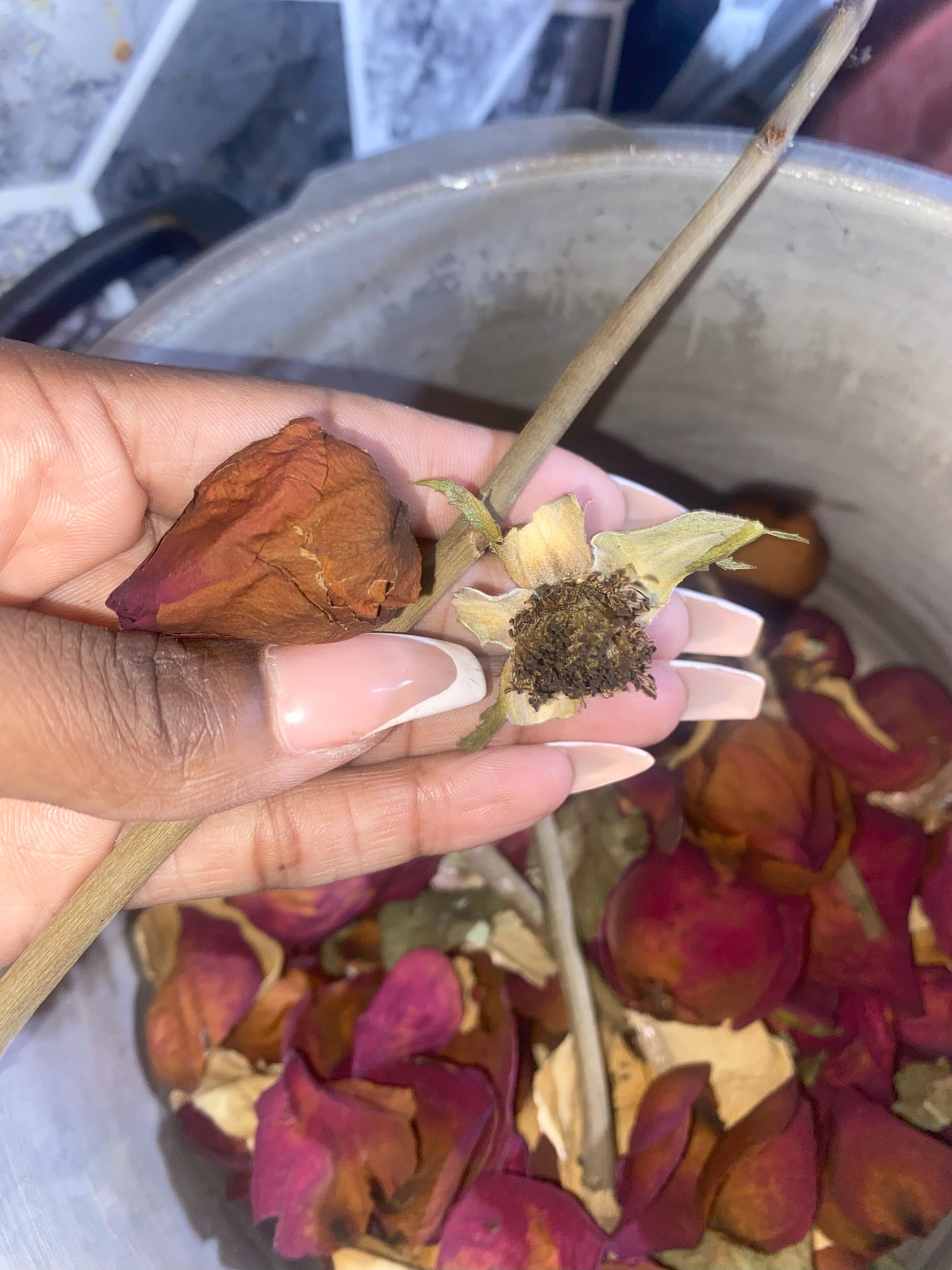 Red Rose