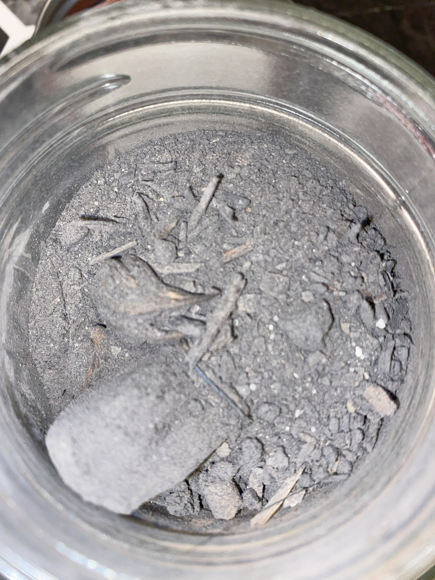 Black Salt