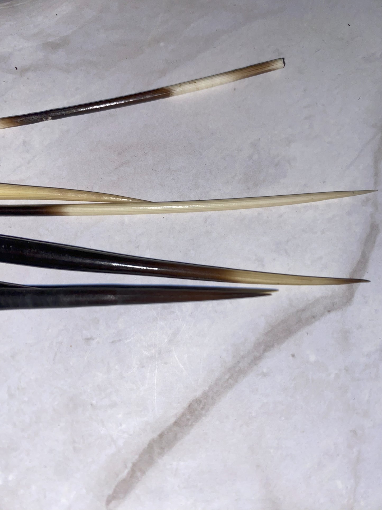 Natural Afrikan Porcupine Quill