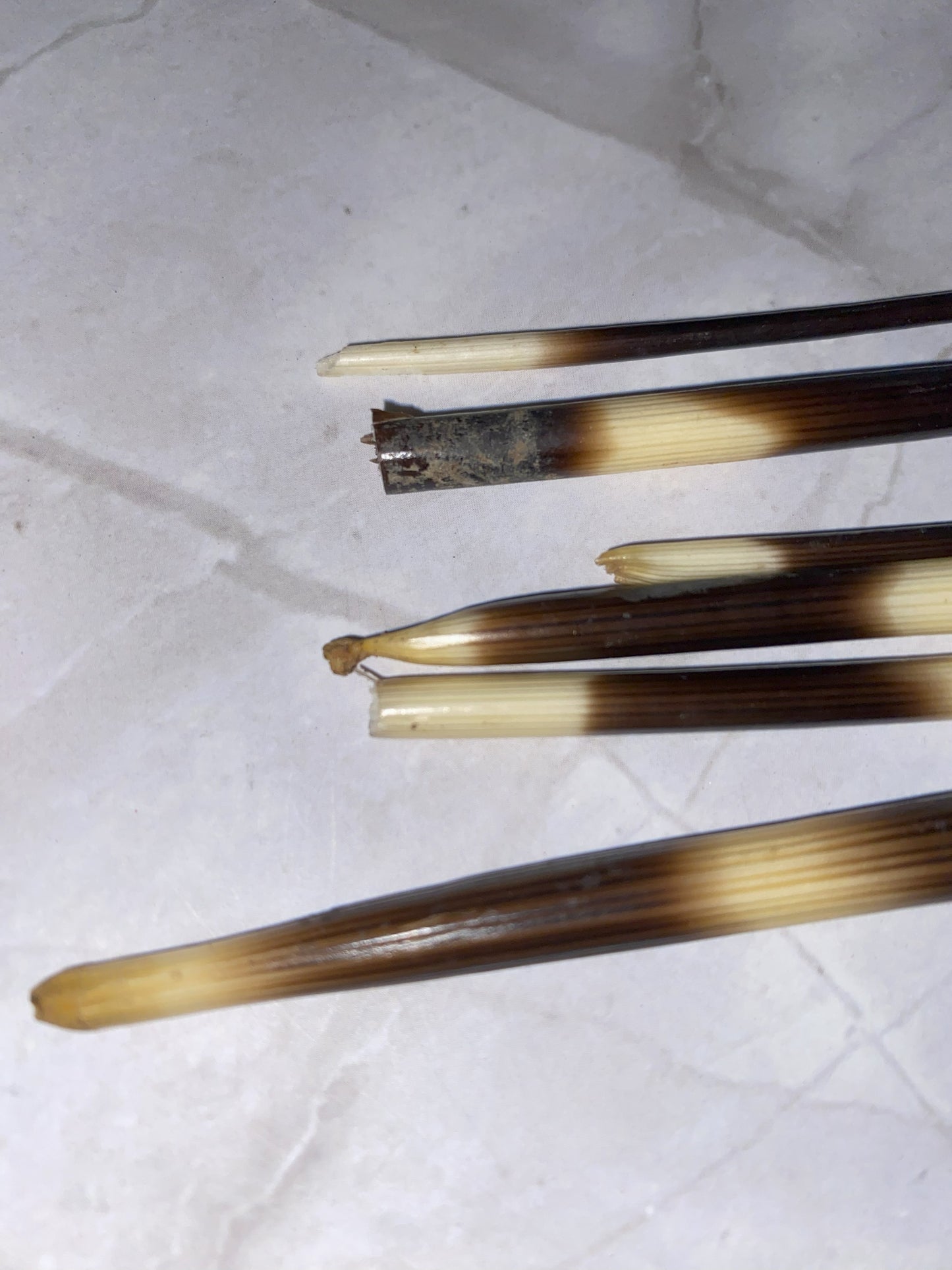 Natural Afrikan Porcupine Quill