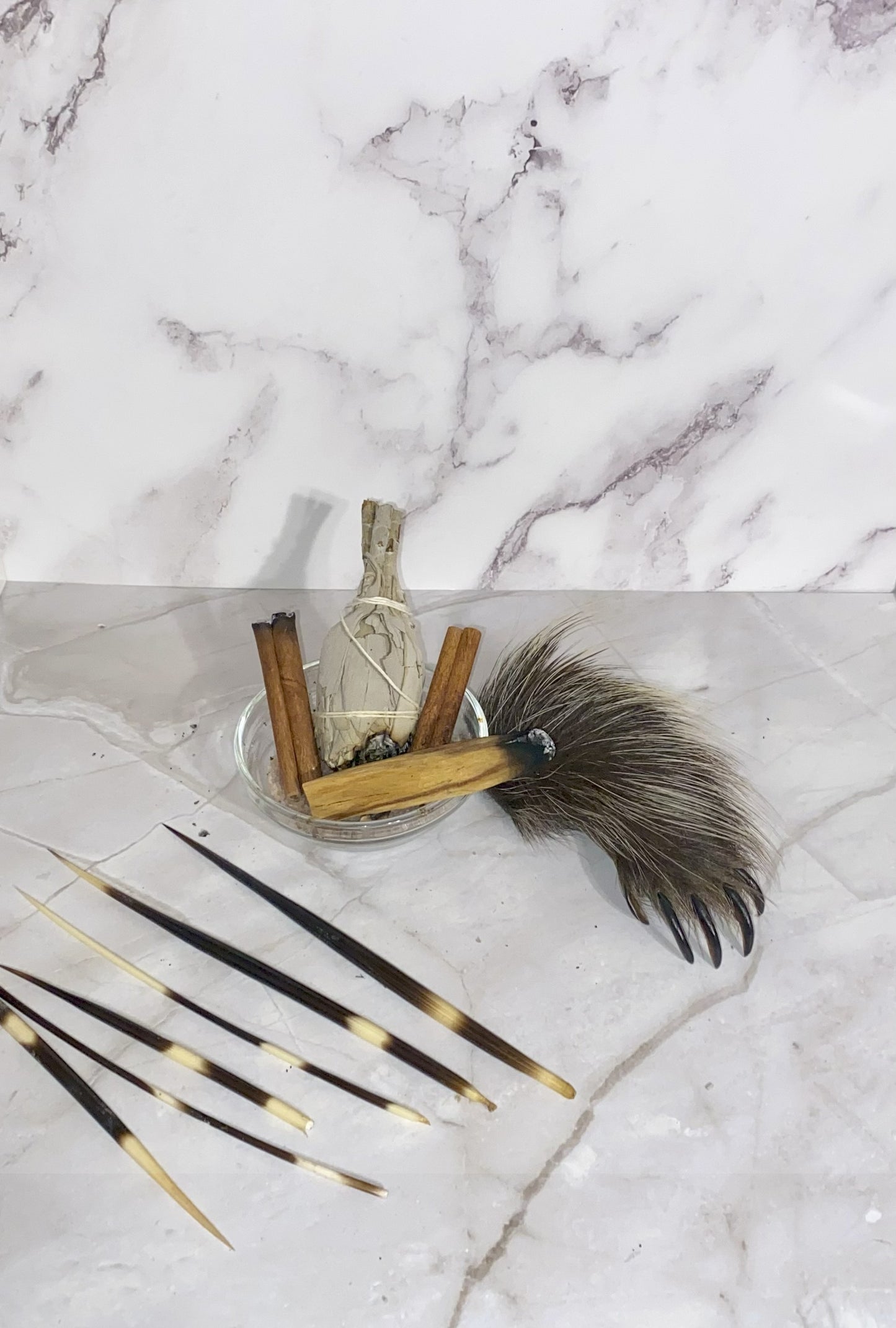 Natural Afrikan Porcupine Quill