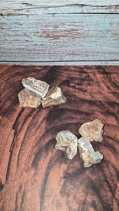 Crazy Lace Agate - [Rough]