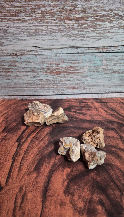 Crazy Lace Agate - [Rough]