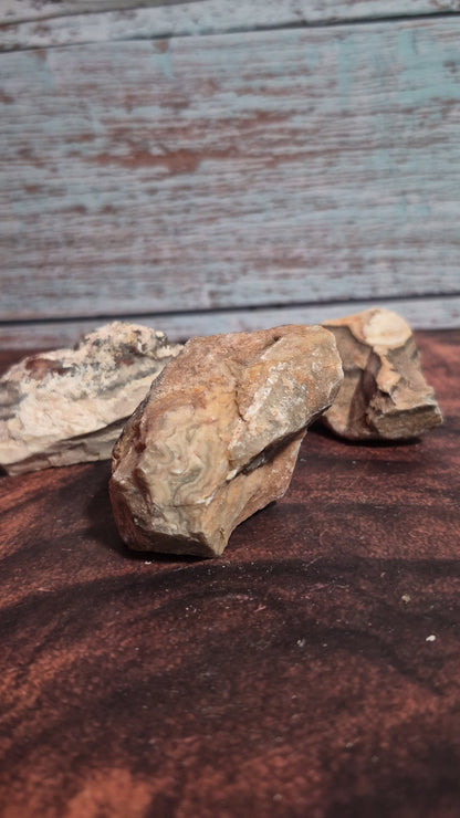 Crazy Lace Agate - [Rough]