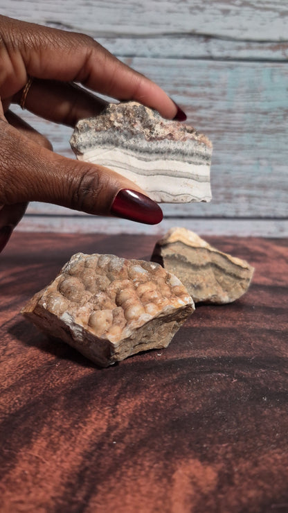 Crazy Lace Agate - [Rough]