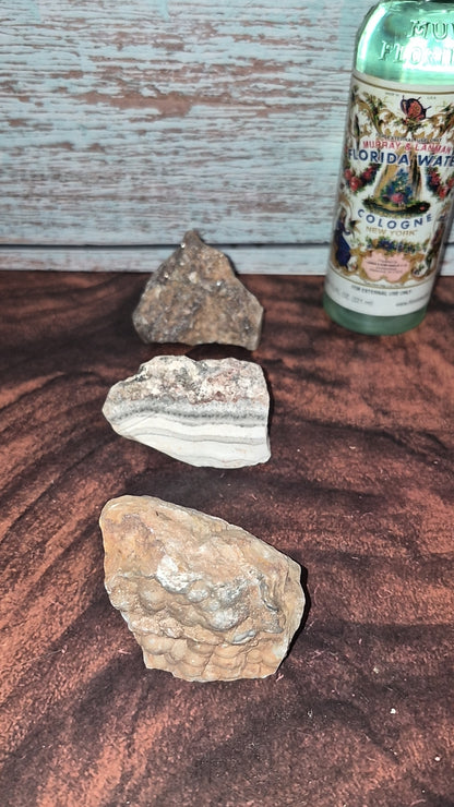 Crazy Lace Agate - [Rough]