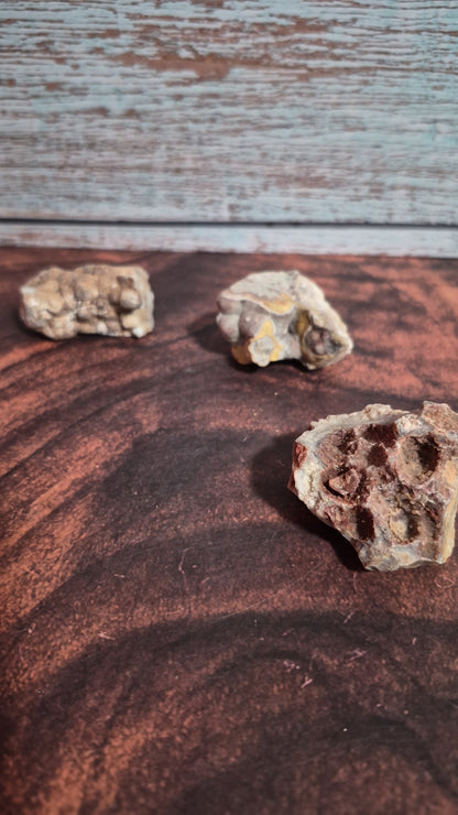 Crazy Lace Agate - [Rough]