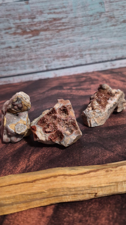 Crazy Lace Agate - [Rough]