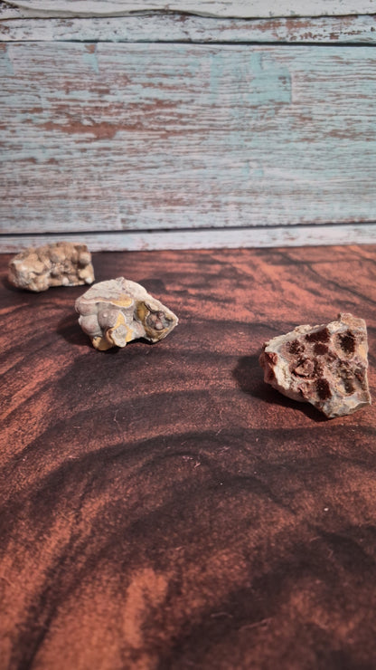 Crazy Lace Agate - [Rough]