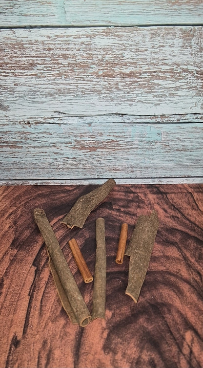 Cassia Cinnamomum