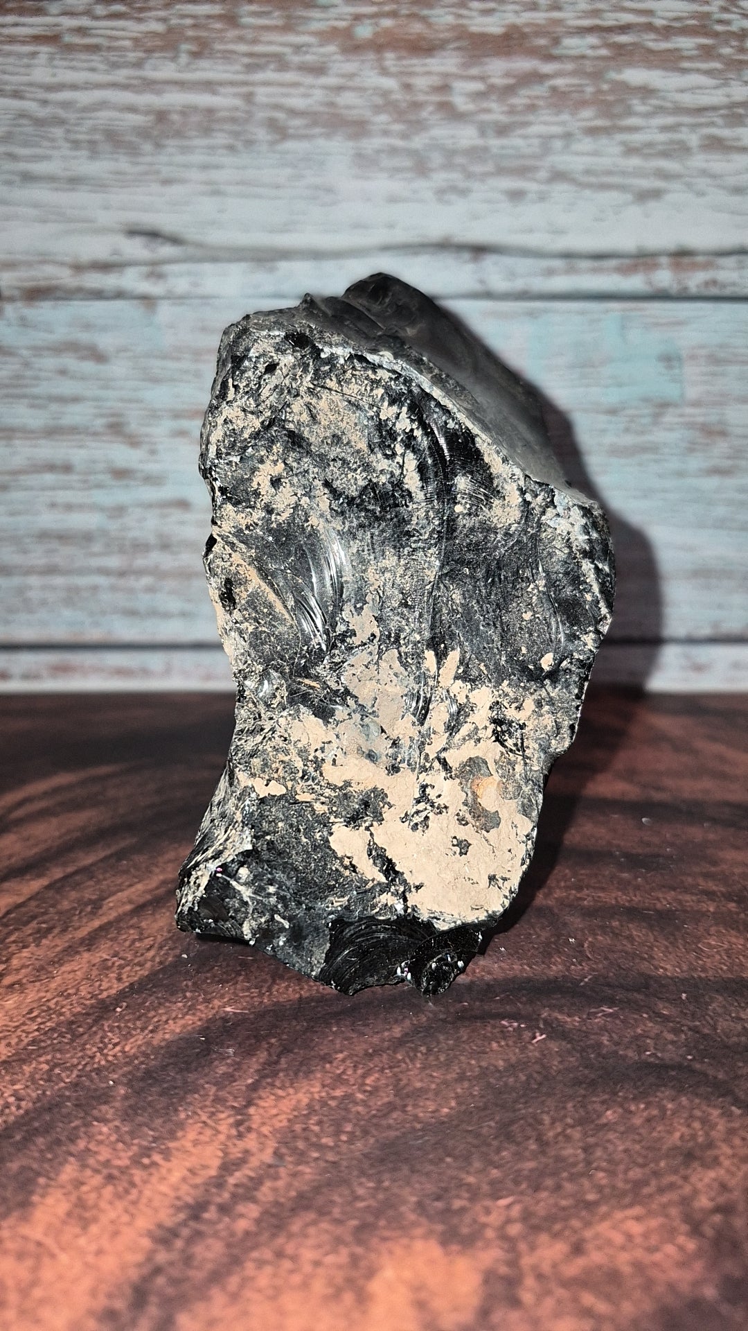 Black Obsidian Lapidary - [Rough]