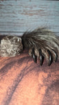 Genuine Mummified Porcupine Hind Foot