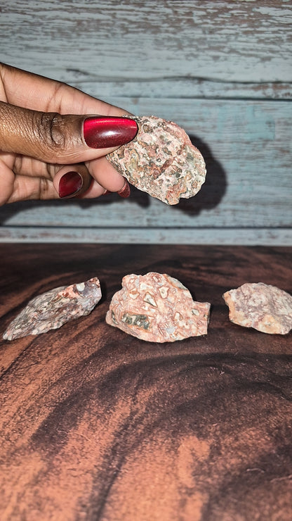 Red Leopard Skin Jasper - [Rough]