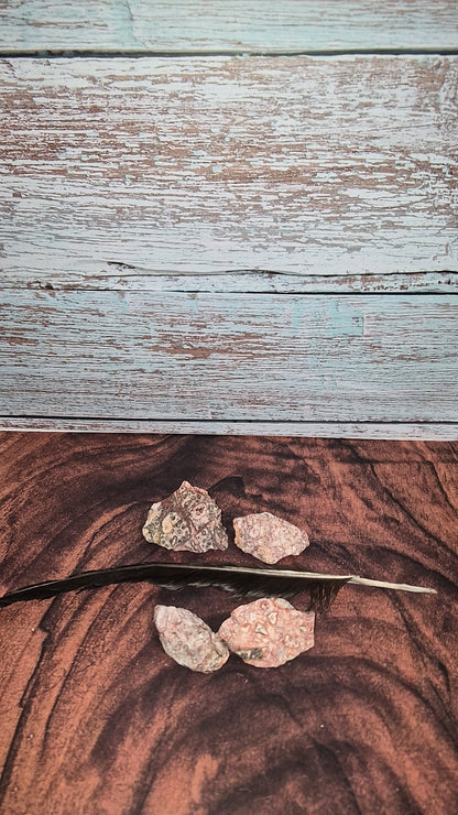 Red Leopard Skin Jasper - [Rough]