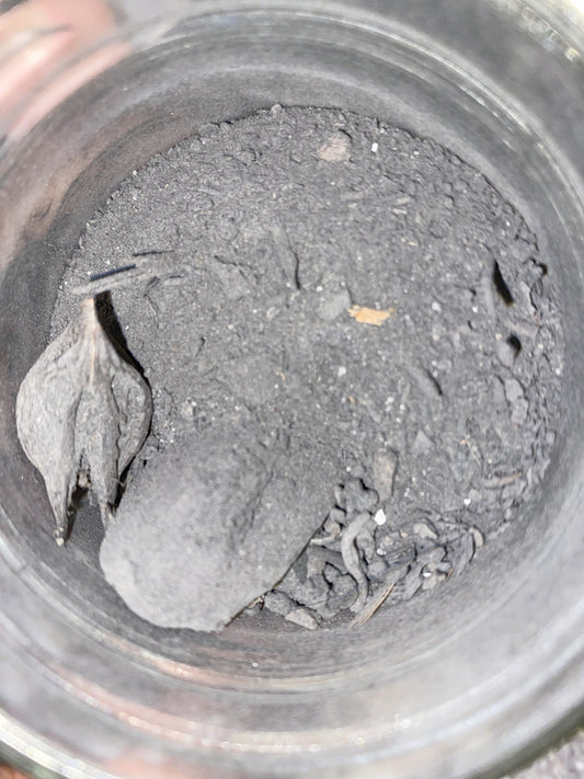 Black Salt