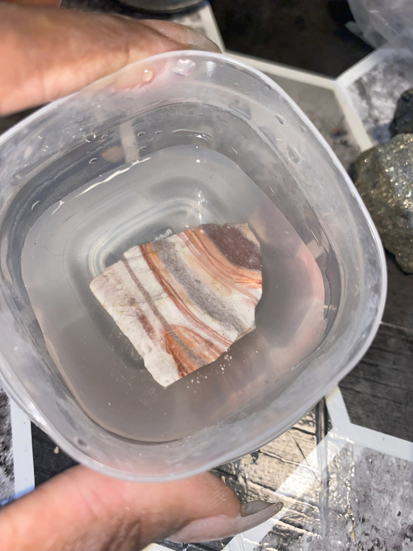Crazy Lace Agate - [Rough]