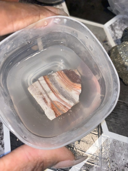 Crazy Lace Agate - [Rough]