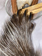 Genuine Mummified Porcupine Hind Foot