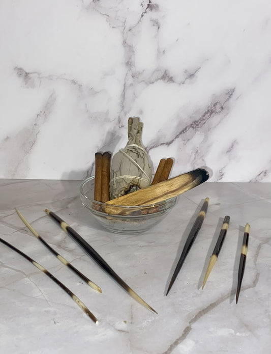 Natural Afrikan Porcupine Quill