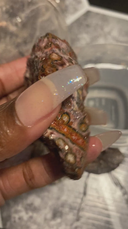 Red Leopard Skin Jasper - [Rough]
