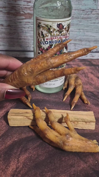 Dehydrated Charged Chicken Foot