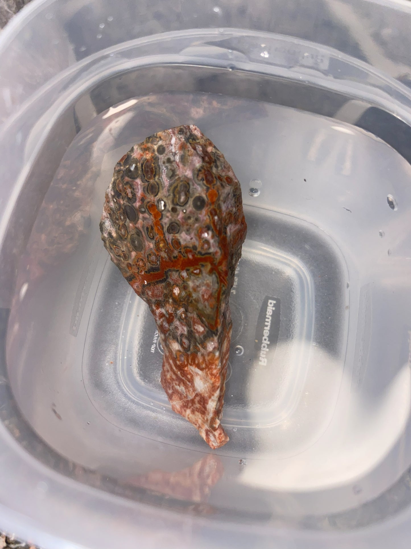 Red Leopard Skin Jasper - [Rough]